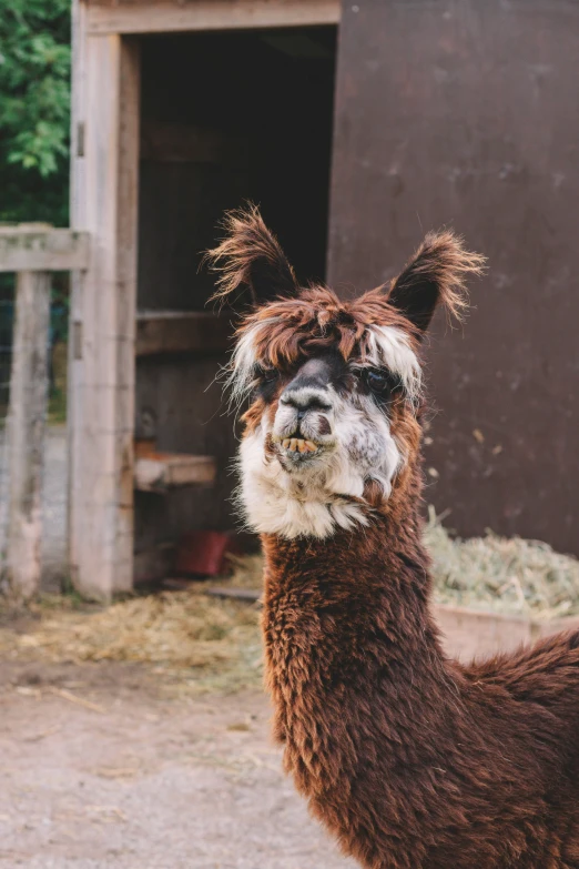 a laman with long hair standing in a fenced area