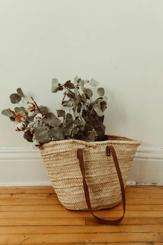 a small potted plant next to a small bag