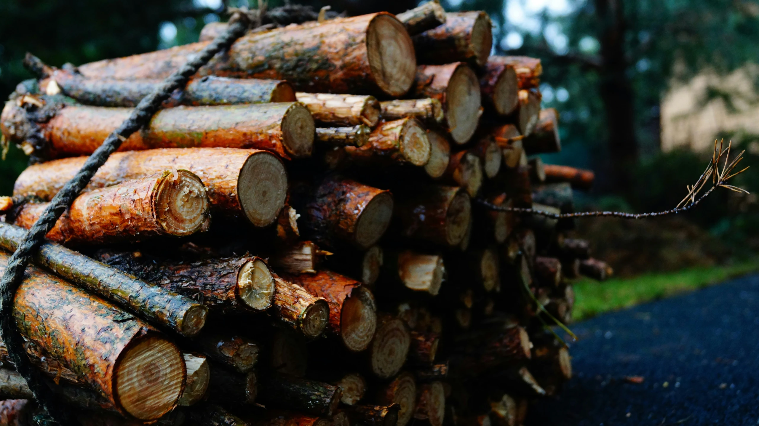 the pile of logs is in front of a house