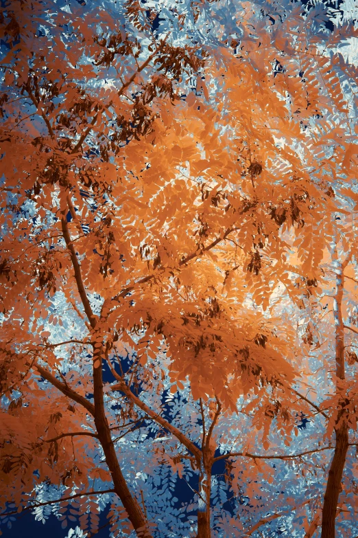 an orange and blue autumn tree with leaves