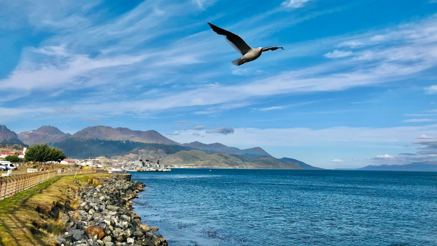 a bird flying over the water next to a beach