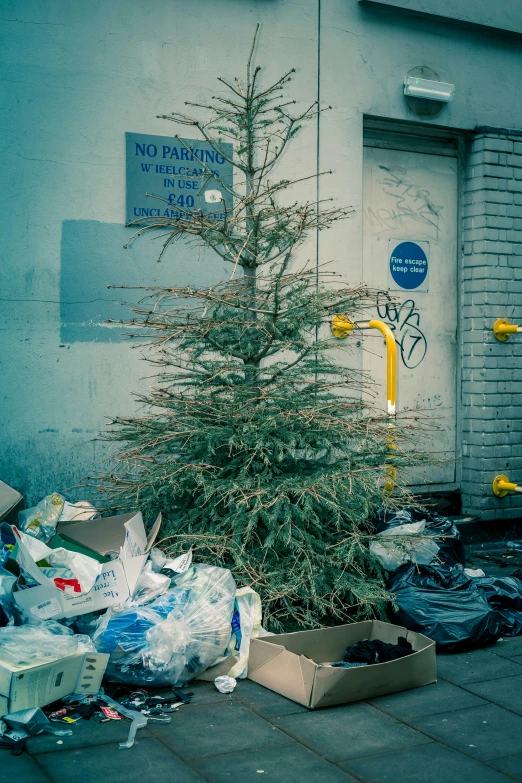 a tree sitting on a sidewalk with plastic bags and litter