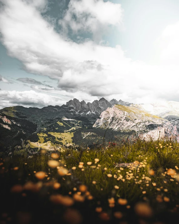 mountains and flowers in a valley with clouds