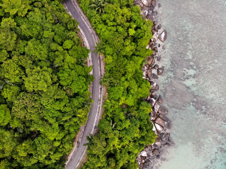 an aerial s shows a tree lined road and water