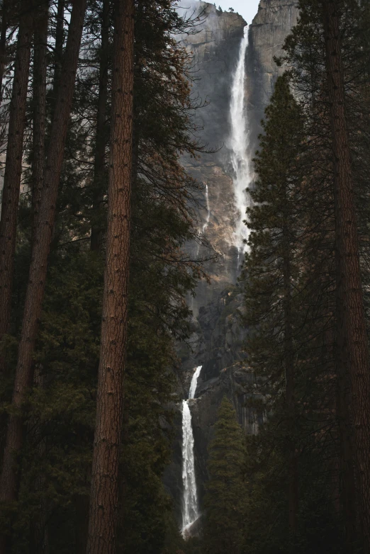 trees in front of a large waterfall with a sky background