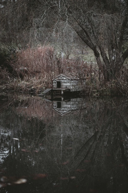 this is a river surrounded by some trees