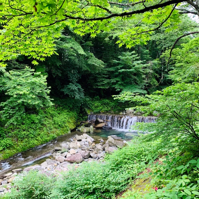 a water fall surrounded by green foliage and trees