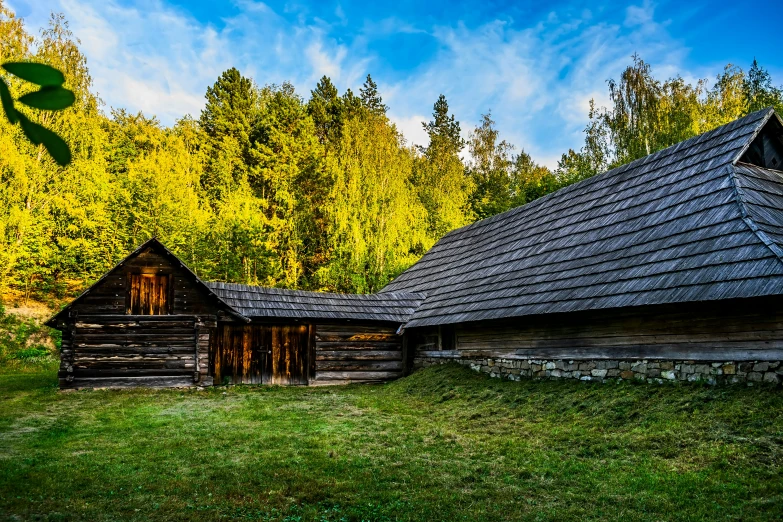 an old wooden cabin is in the midst of trees