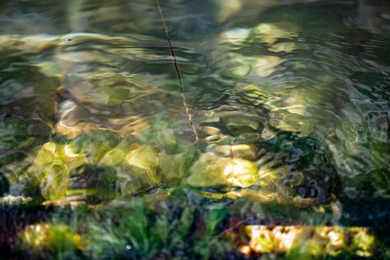 water droplets are seen in the sunlight from under some vegetation