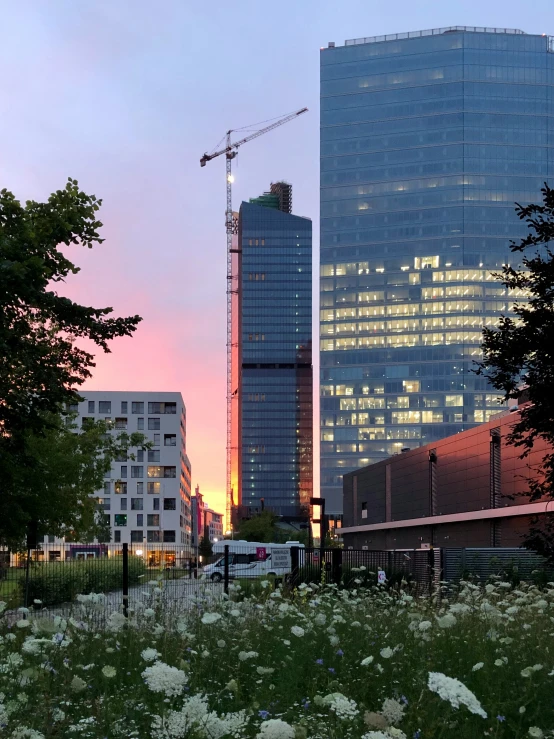 some buildings with some grass bushes and a crane