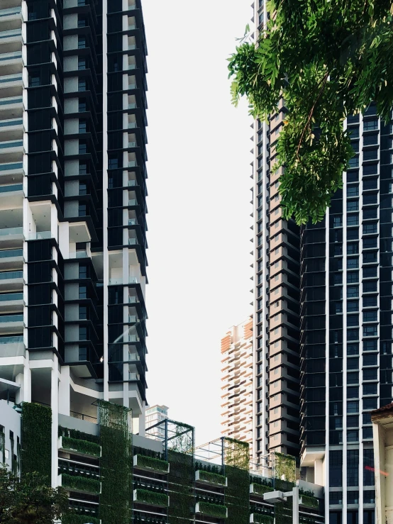 buildings with grass and plants lined up on the sidewalk