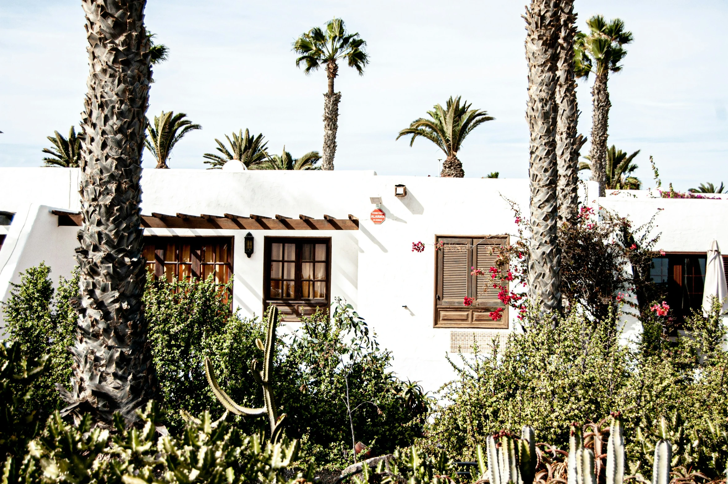 this is the front entrance to a motel with palm trees