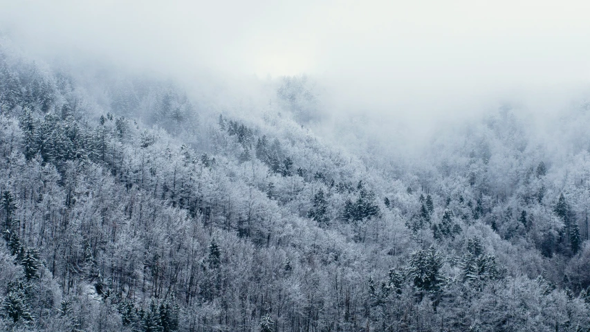 a hazy view of snow covered trees and sky