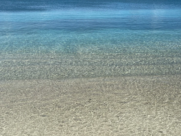 the dog is laying on the beach near the water