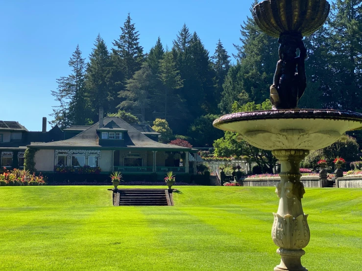 the yard is full of nice lawn and trees