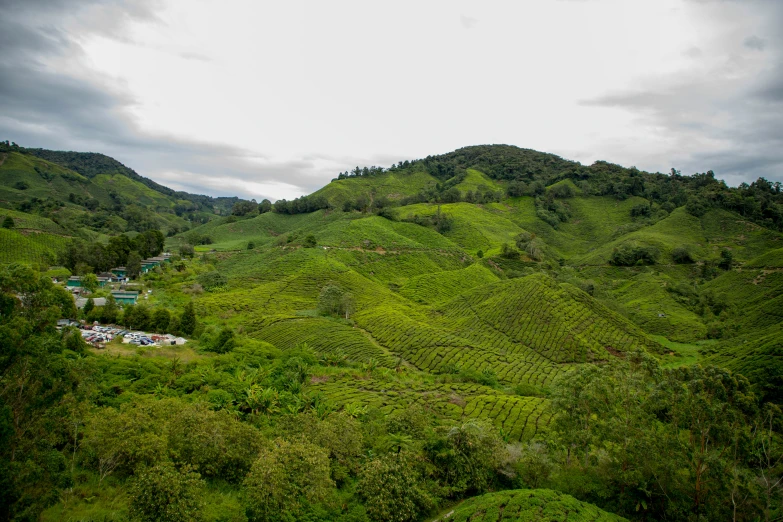 large hill surrounded by trees and other vegetation