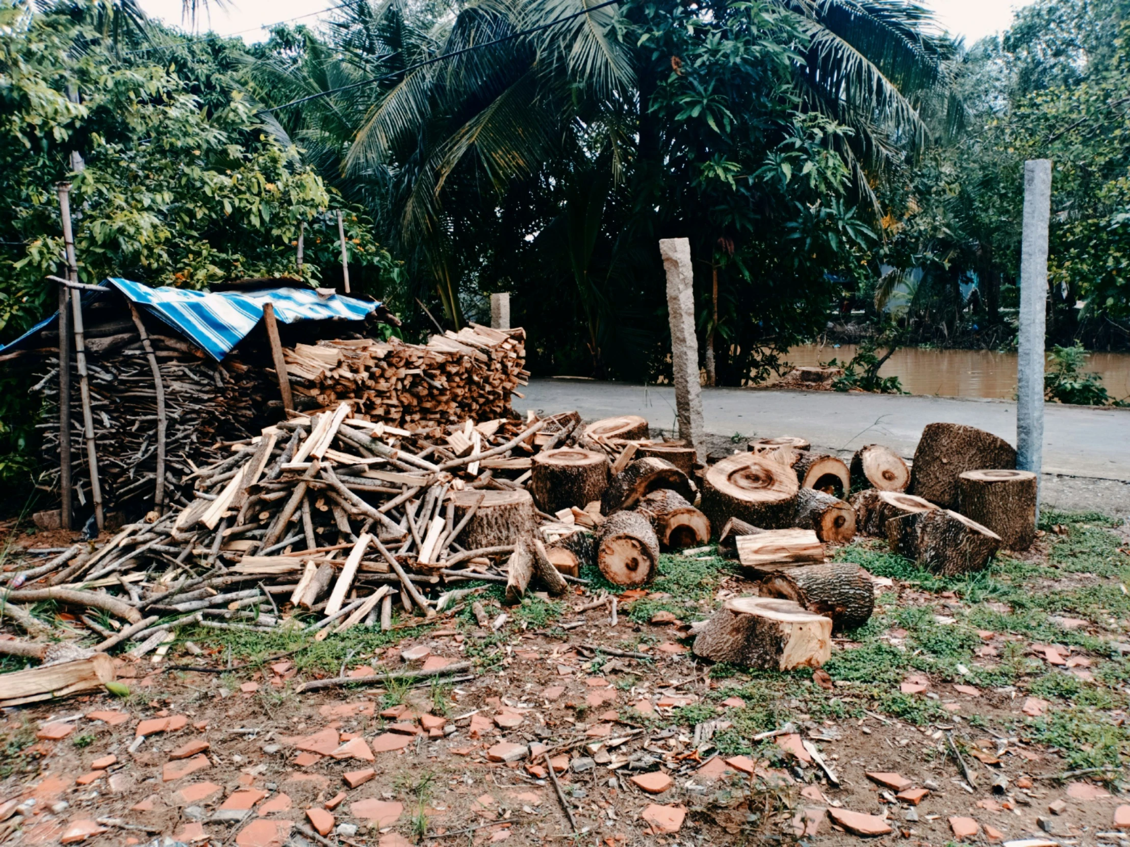 an outdoor area with logs in the dirt