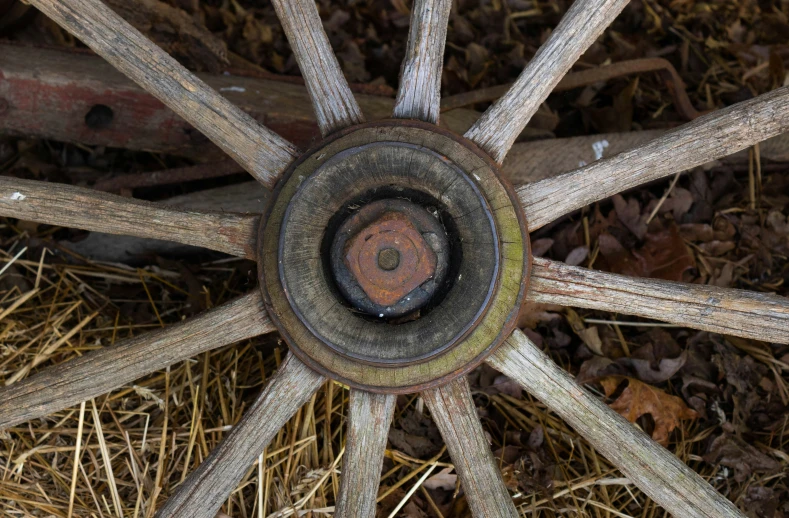 a close up of a wheel on a piece of wood