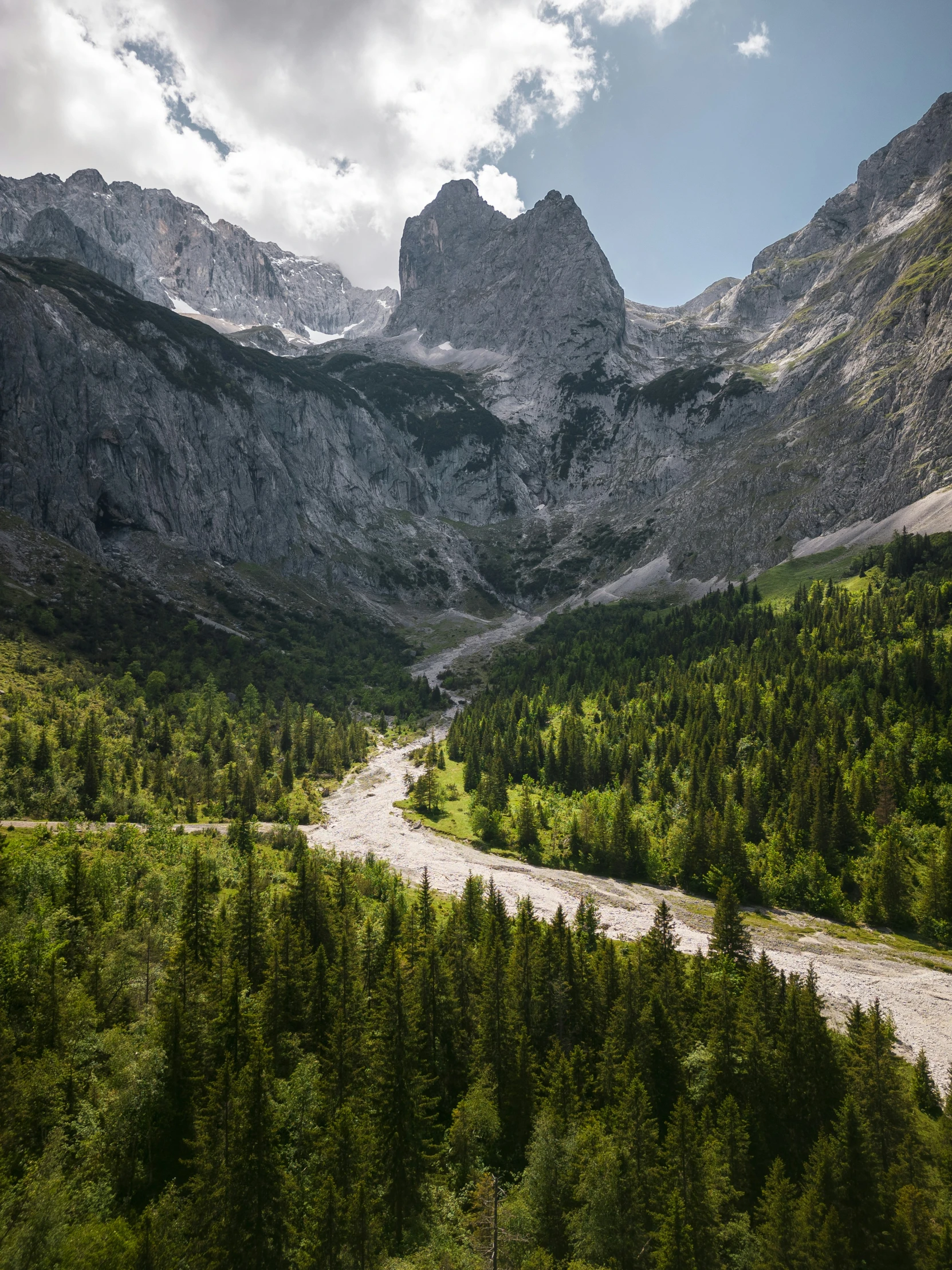 a group of mountains covered with trees, rocks and snow