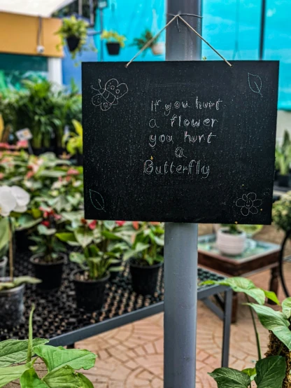 sign with handwritten words in greenhouse setting