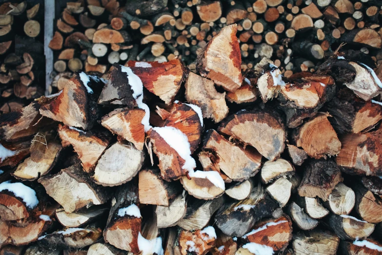 large pile of logs with snow on top of them