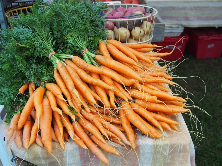 bunches of carrots are piled up and laying on a table