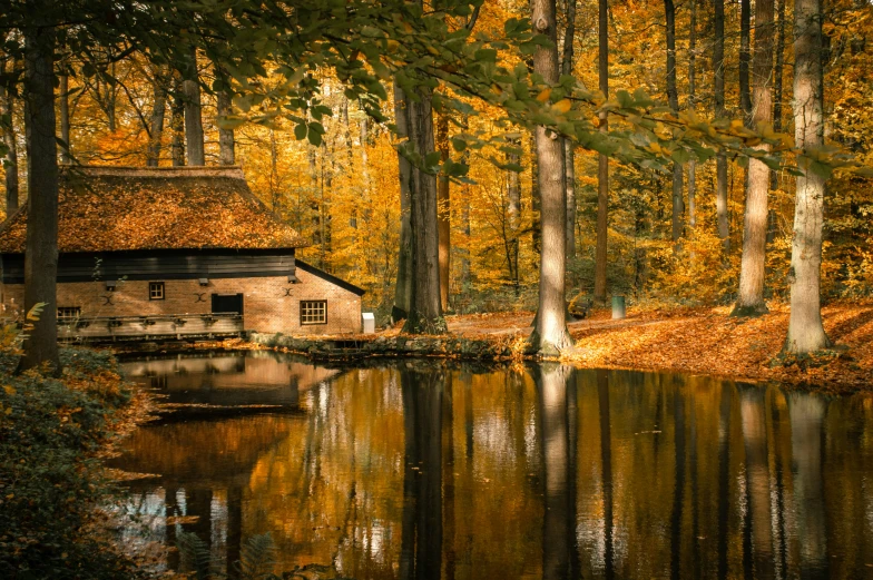 a small building sitting in the middle of a forest