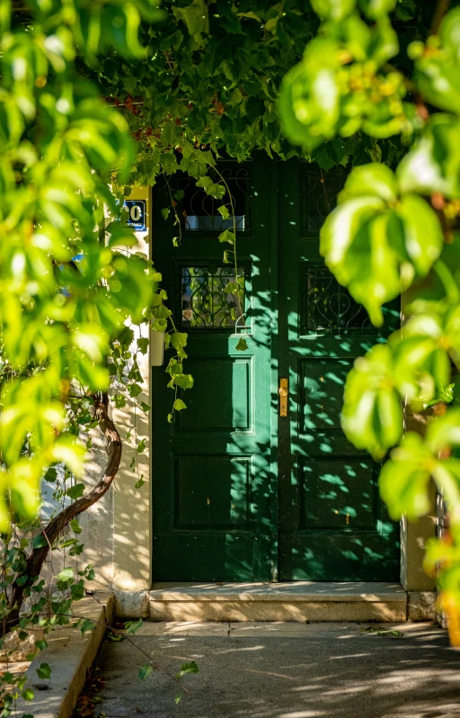 an outside door in the side walk with plants on either side