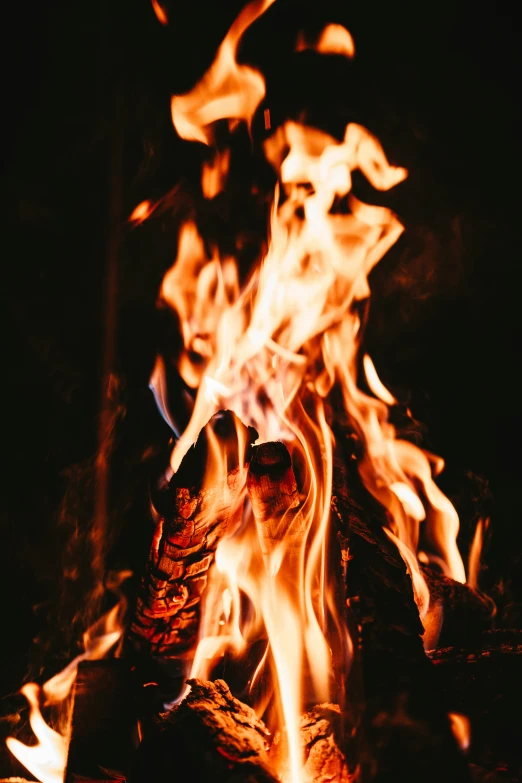 the flame and flames of a campfire in the dark