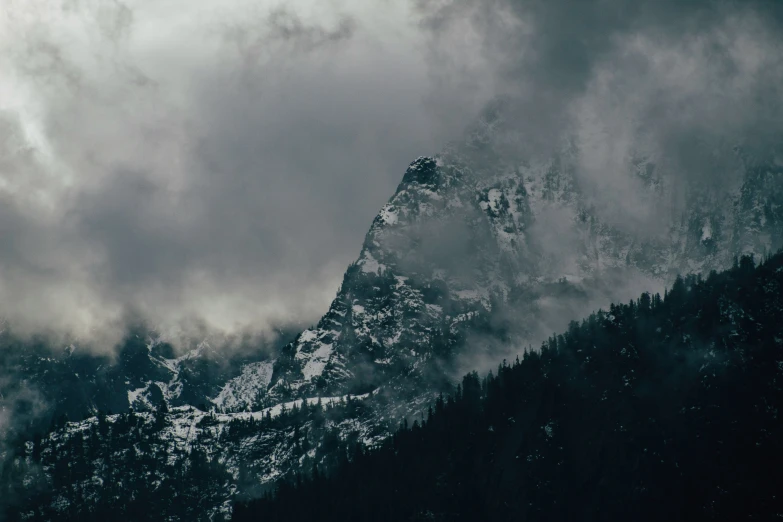 a mountain covered in snow with trees below it