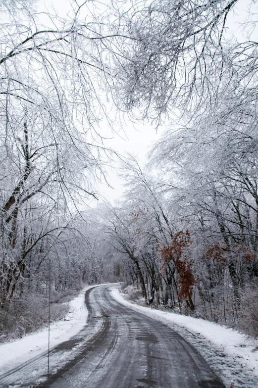 a car driving down a snowy road lined with trees