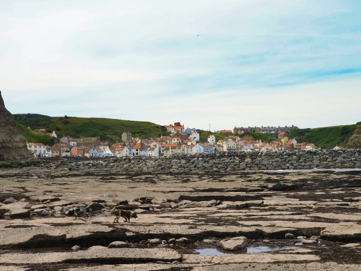 a view of a sandy beach and lots of houses on the hill side