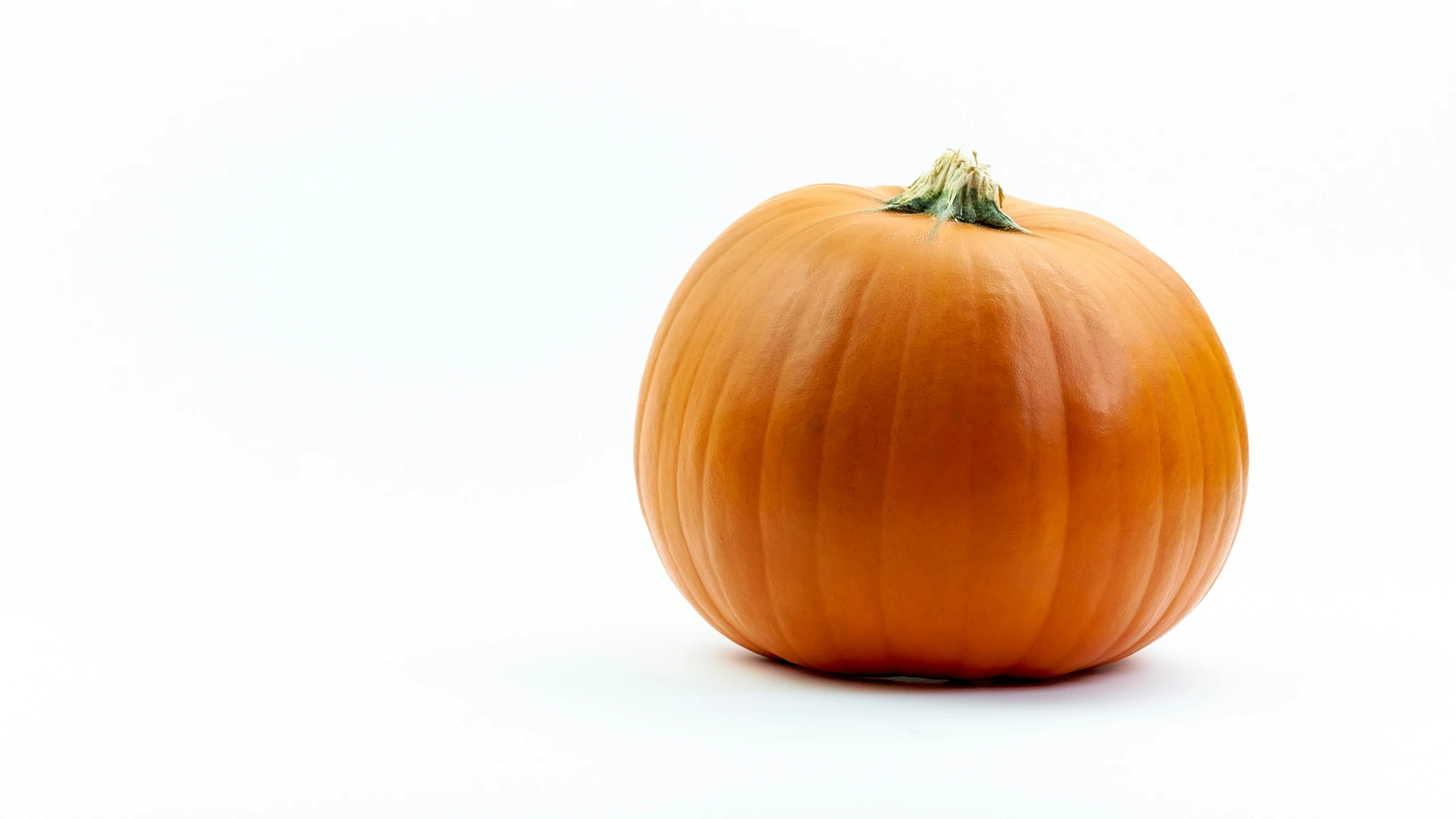 a close up of a whole onion head on a white background