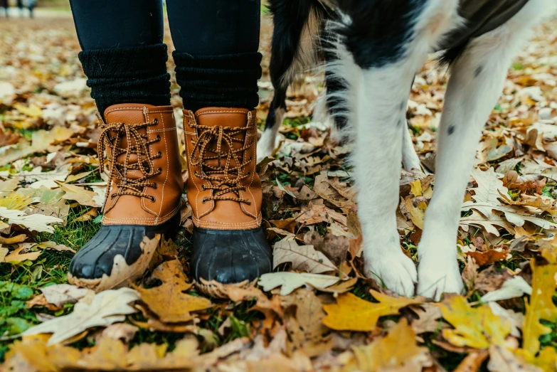 a person stands next to a dog in boots