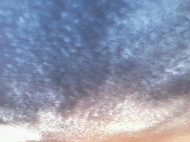 birds are flying high in the sky above a beach