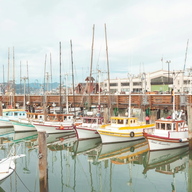 several boats parked along the shore by a pier