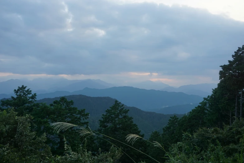 a view of a mountain range and trees