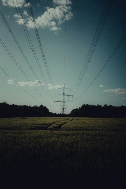 the electric poles are above an empty field