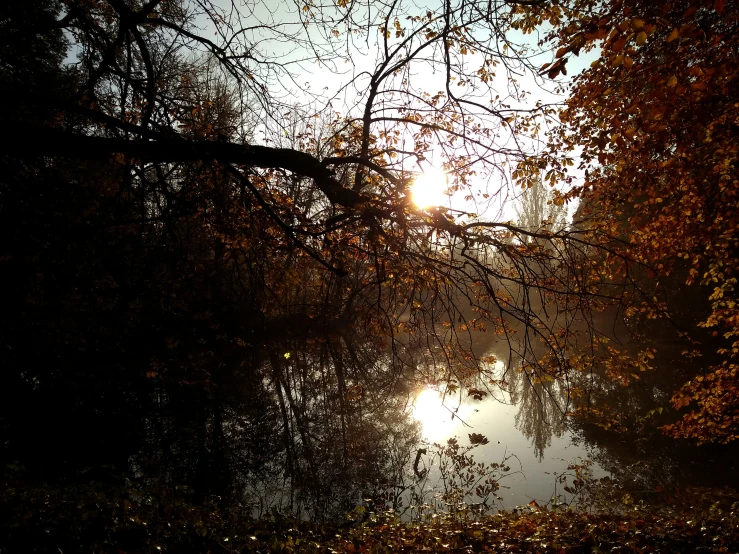 the sun is peeking through the trees across the river