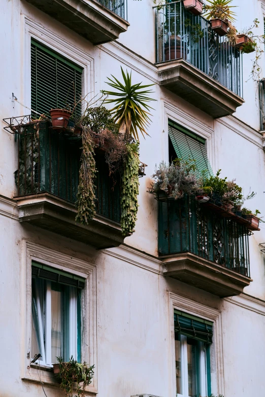 an image of two buildings with plant life on them