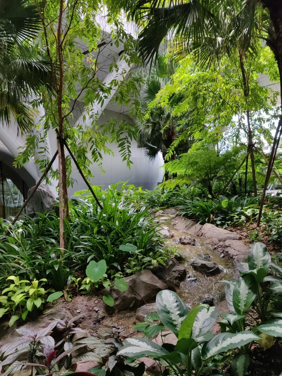 a view from inside of a building, of trees and plants in the foreground