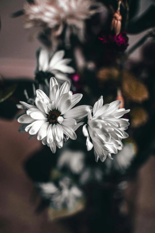 two flowers are in a clear vase with some smaller ones nearby