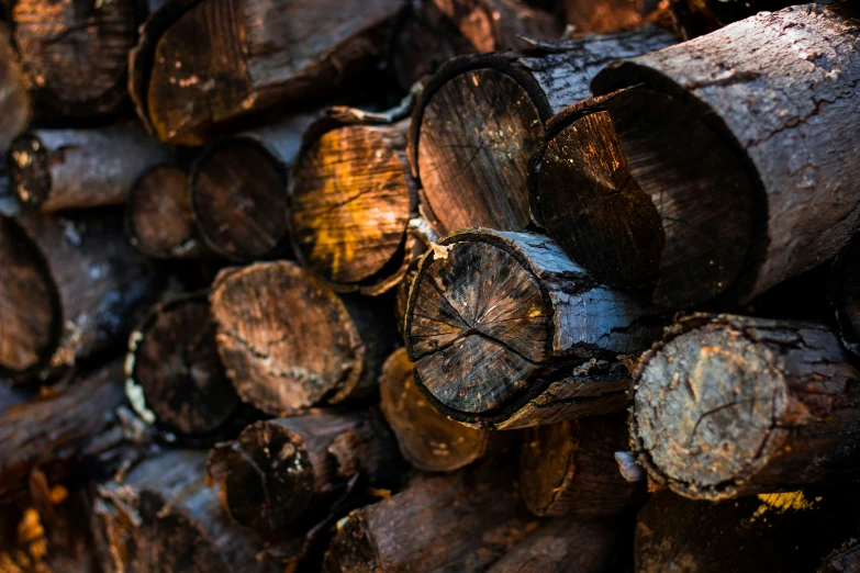 the pile of chopped wood is ready to be used