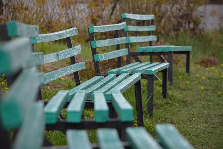 green benches in grassy area next to tree and water