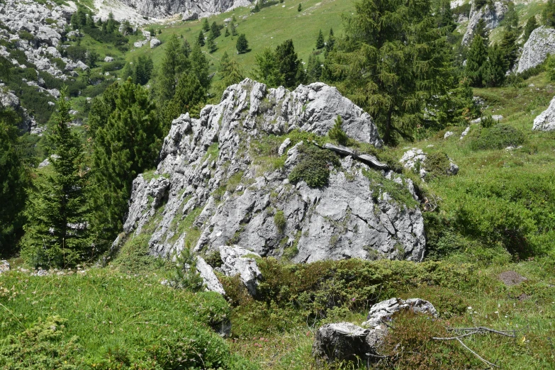 a mountain with a large rock and a grass meadow below it