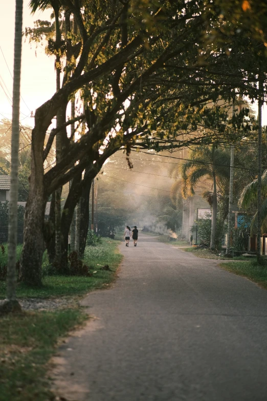 two people are walking down the road under trees