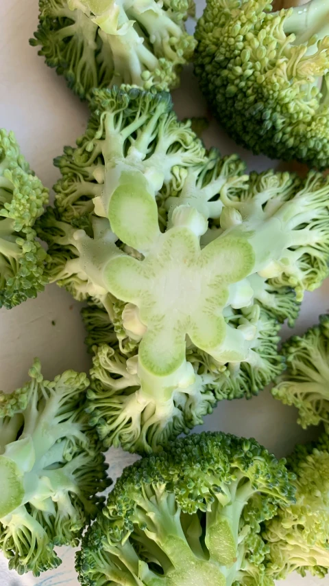 the broccoli stems are on display, but still green