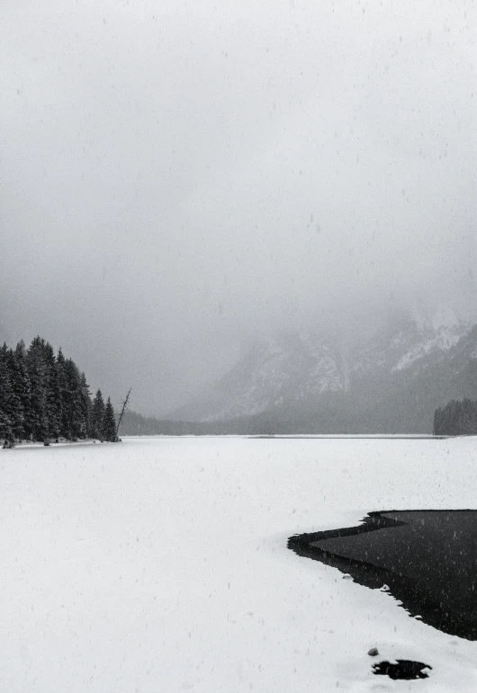 the snow covered shore of a lake surrounded by evergreen trees