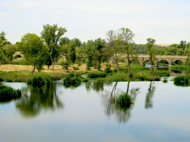 water and trees with an old bridge in the background