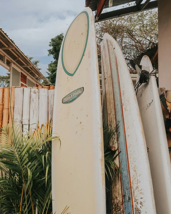 several surfboards are being displayed outside against a wall